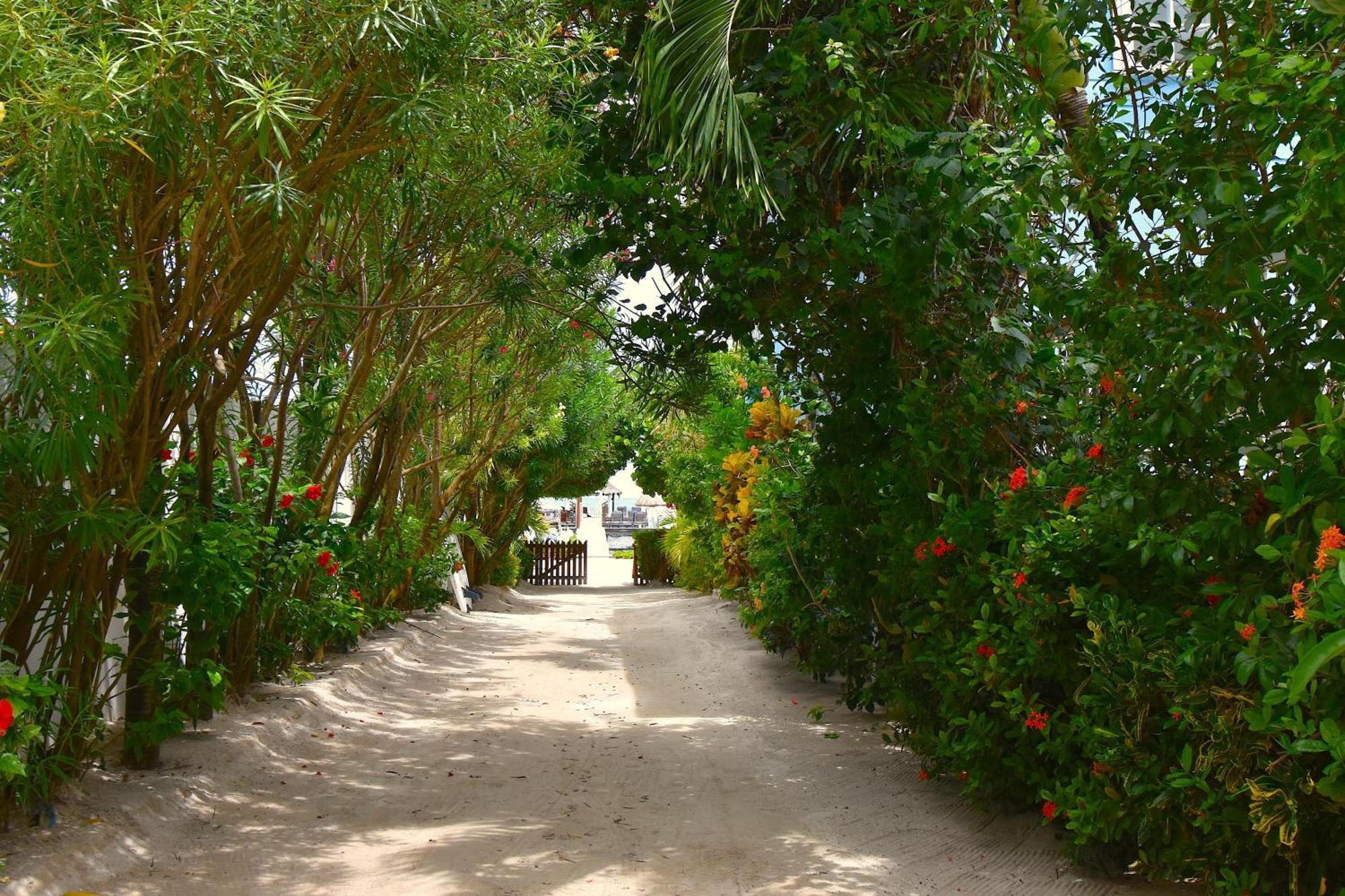 קיי קולקר Palmetto Garden Cottage מראה חיצוני תמונה