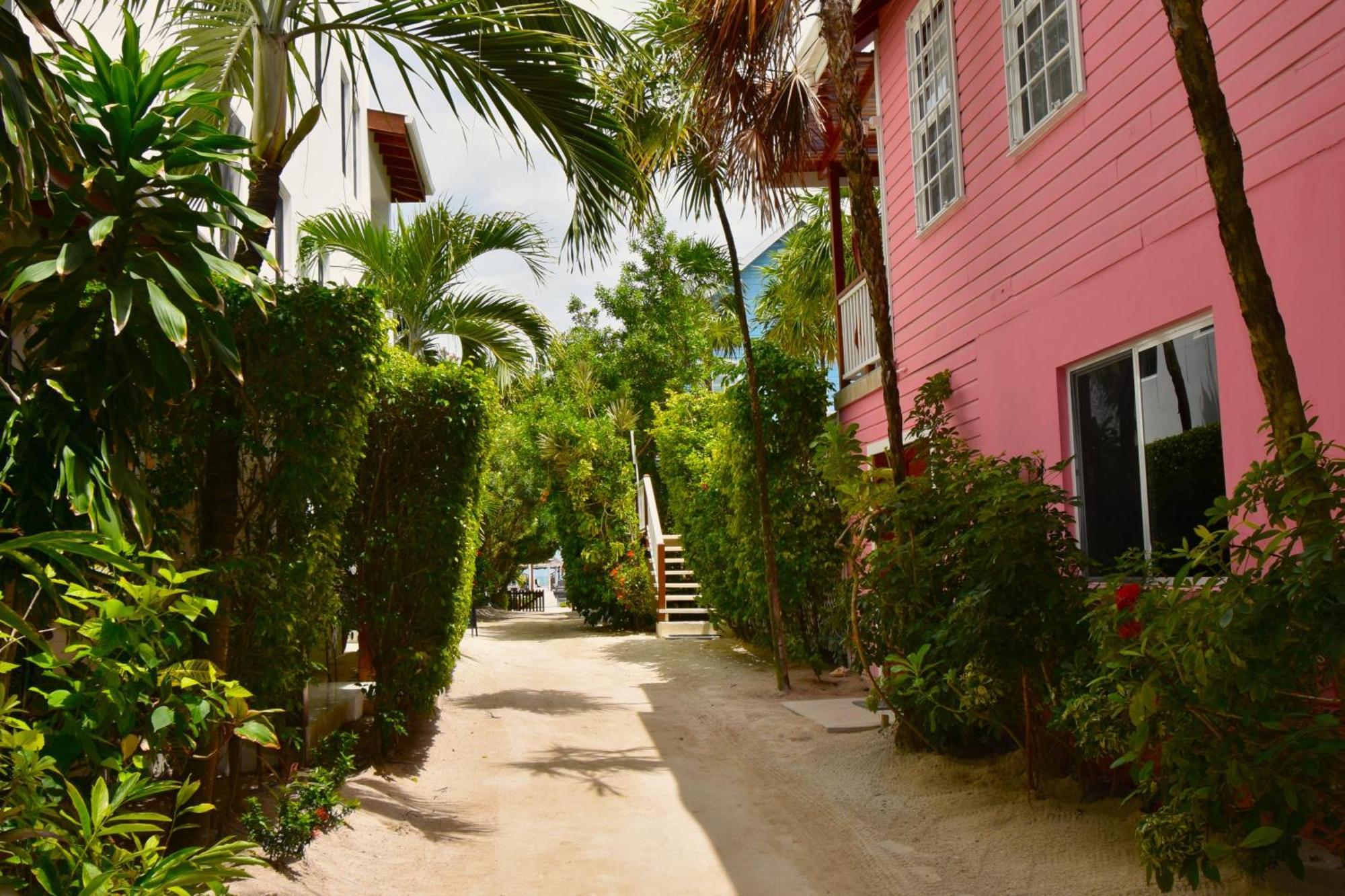 קיי קולקר Palmetto Garden Cottage מראה חיצוני תמונה